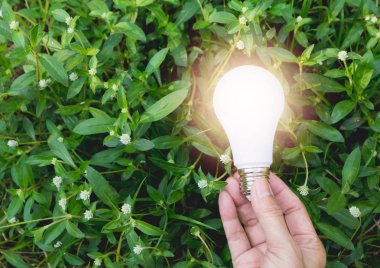 Fikir veya başarı veya güneş enerjisi kavramı için ampul tutan kişi el.