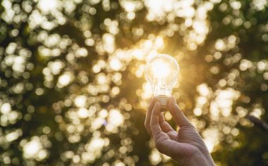 Fikir veya başarı veya güneş enerjisi kavramı için ampul tutan kişi el.