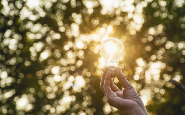 Fikir veya başarı veya güneş enerjisi kavramı için ampul tutan kişi el.
