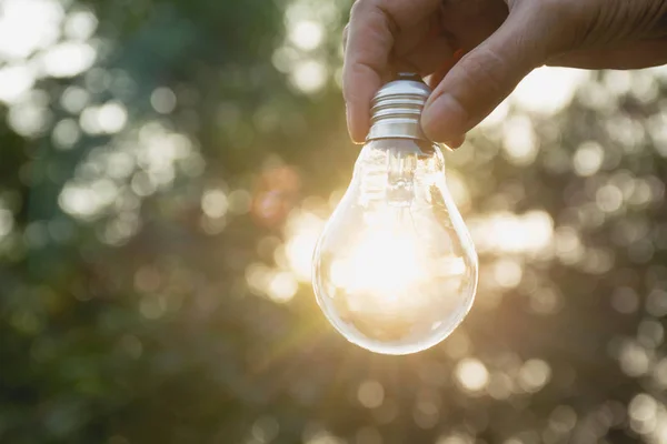 Ruka člověka drží žárovku za nápad nebo úspěch nebo solární energetické koncepce. — Stock fotografie