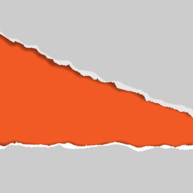 Yırtık kağıt. Vektör yırtık kağıt. Kağıt arka plan yırtılmış.