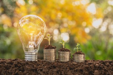 Enerji tasarruflu ampul ve ağaç doğa arka plan demir yığınları üzerinde büyüyor. Kaydetme, muhasebe ve mali kavramı.