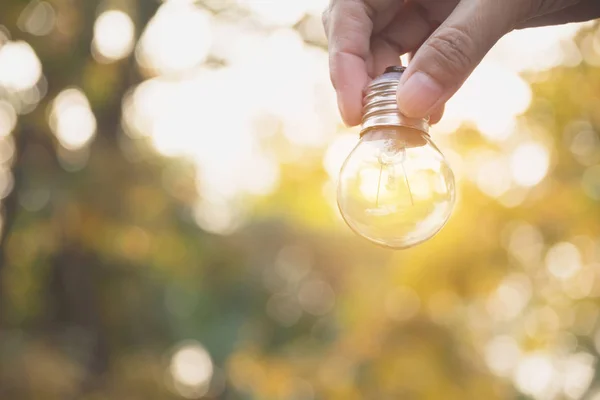Hand einer Person mit Glühbirne für Idee oder Erfolg oder Solarenergiekonzept. — Stockfoto