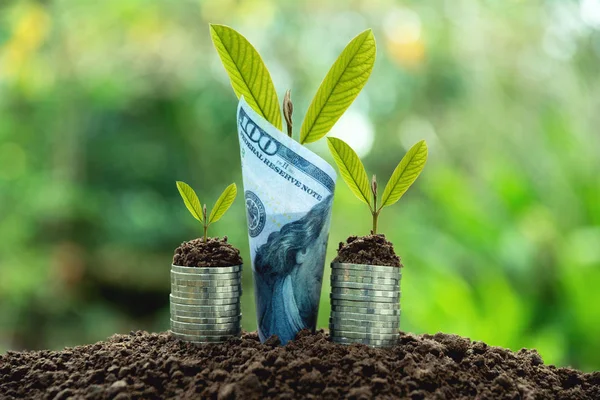 Risparmio di denaro concetto con moneta stack e banconote in crescita per le imprese. concetto finanziario e contabile . — Foto Stock