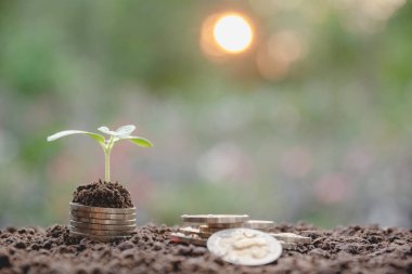 Para biriktirme kavramı ve para yığını iş için büyüyor. finansal ve muhasebe kavramı.