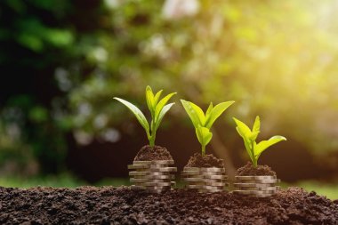 Para biriktirme kavramı ve para yığını iş için büyüyor. finansal ve muhasebe kavramı.