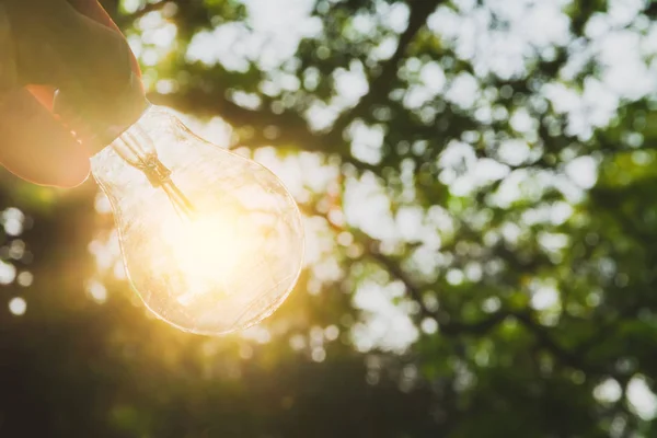 Mano de la persona que sostiene la bombilla para la idea o el éxito o el concepto de energía solar . — Foto de Stock