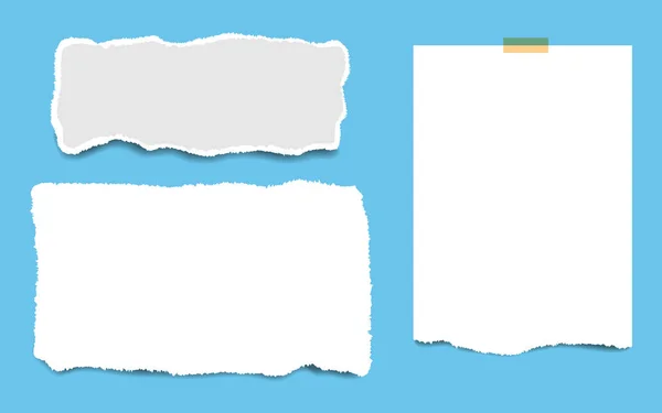 Blank squared notepad pages and tape. Note paper stuck with beige sticky tape. — Stock Vector