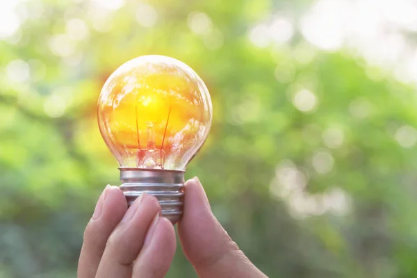 Mano della persona che tiene la lampadina per idea o successo o concetto di energia solare . — Foto Stock
