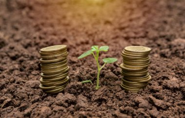 Para biriktirme kavramı ve para yığını iş için büyüyor. finansal ve muhasebe kavramı.