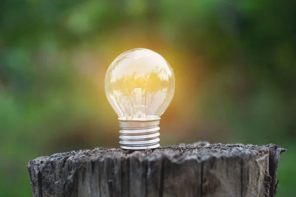 Ampoules avec lumière sur le sol. Idée, créativité et économie d'énergie avec le concept des ampoules . — Photo