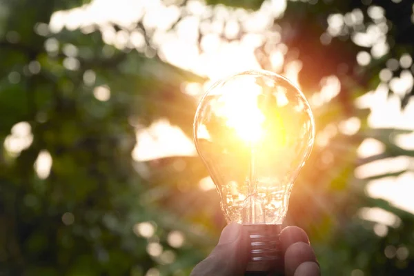 Ampoules à main avec lumière sur le sol. Idée, créativité et économie d'énergie avec le concept des ampoules . — Photo