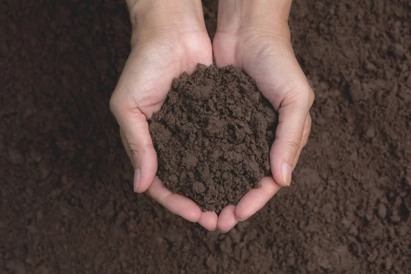 Hand of male holding soil in the hands for planting.