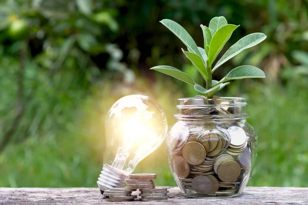 Ampoule à économie d'énergie et arbre poussant sur des piles de pièces de monnaie sur fond nature. Épargne, comptabilité et concept financier . — Photo