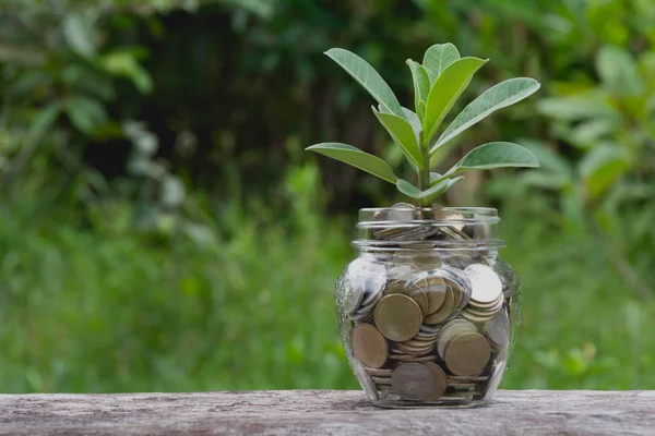 Risparmio di denaro concetto con denaro moneta in vaso di vetro per finanziario e contabile. concetto finanziario e contabile . — Foto Stock