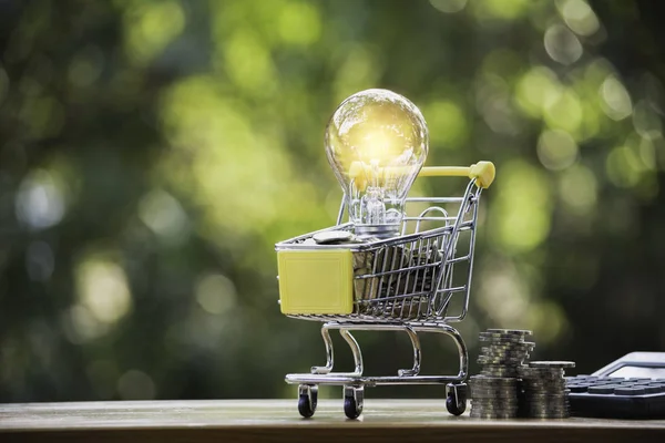 Lâmpada de poupança de energia com carrinho de compras financeiro e shoppi — Fotografia de Stock