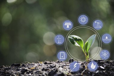 Fide ve toprak ve kopya alanı için büyüyen bitki tex Ekle