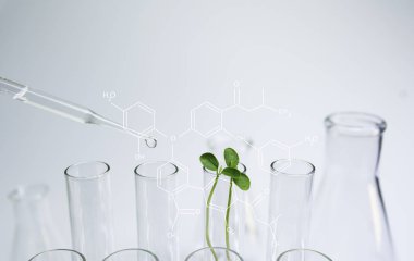 Araştırmacı cam laboratuvar kimyasal test tüpleri ile sıvı ile