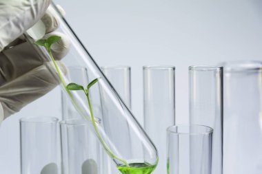 Araştırmacı cam laboratuvar kimyasal test tüpleri ile sıvı ile
