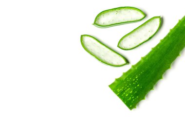Aloe vera esaslı yağı beyaz arka planda izole edilmiş. Taze Aloe vera yaprakları.