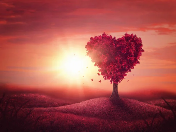 Corazón árbol de amor — Foto de Stock