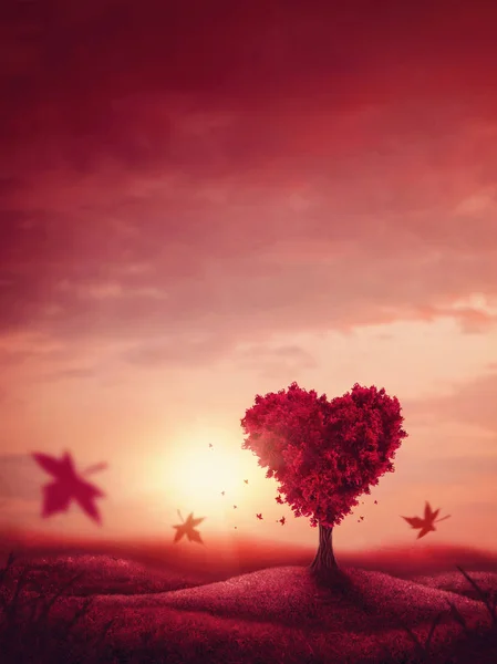 Drzewo miłości serca — Zdjęcie stockowe