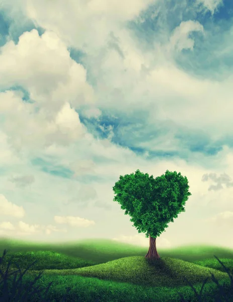 Heart shape tree — Stock Photo, Image