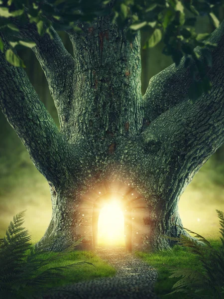 Árvore com o portal — Fotografia de Stock