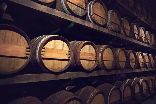 Wine cellar with a row of barrels — Stock Photo, Image