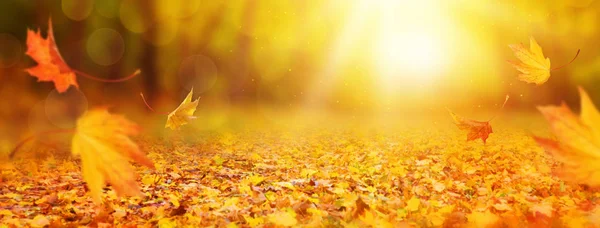 Outono abstrato fundo — Fotografia de Stock