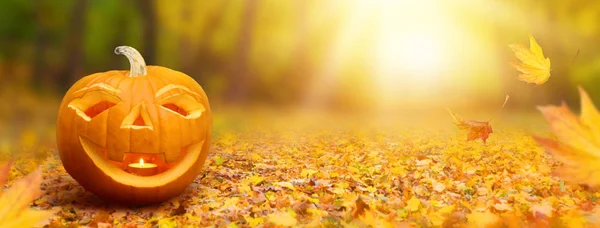 Halloween banner s dýně — Stock fotografie