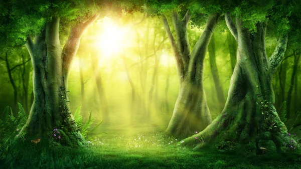 Dark magic forest 