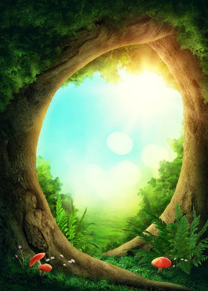 Karanlık sihirli orman