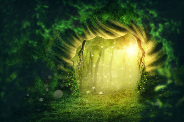 Magic dark forest with sunshine