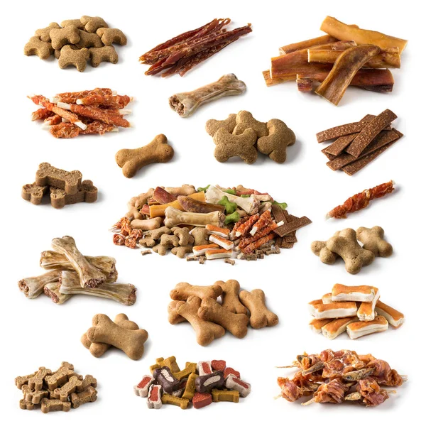 Raccolta di snack per cani — Foto Stock