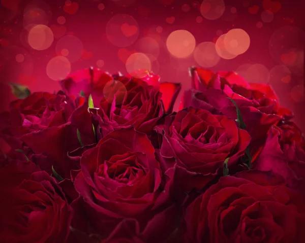 Розы на красном фоне — стоковое фото