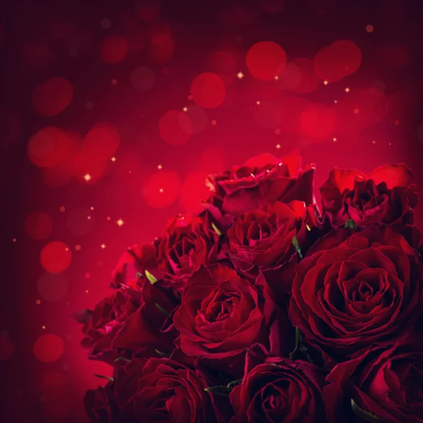 Roses on a red background — Stock Photo, Image