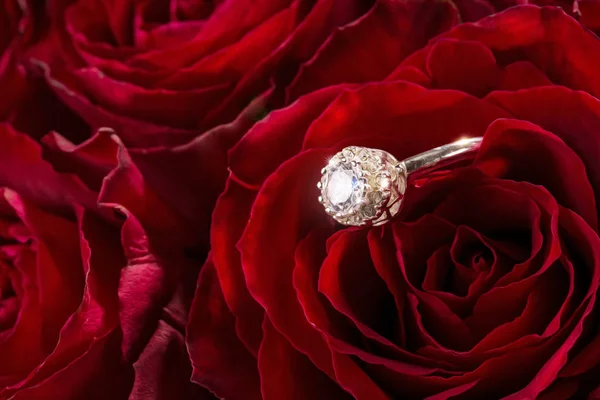 Red roses with engagement ring — Stock Photo, Image