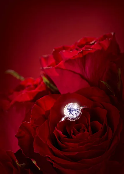 Červené růže s zásnubní prsten — Stock fotografie
