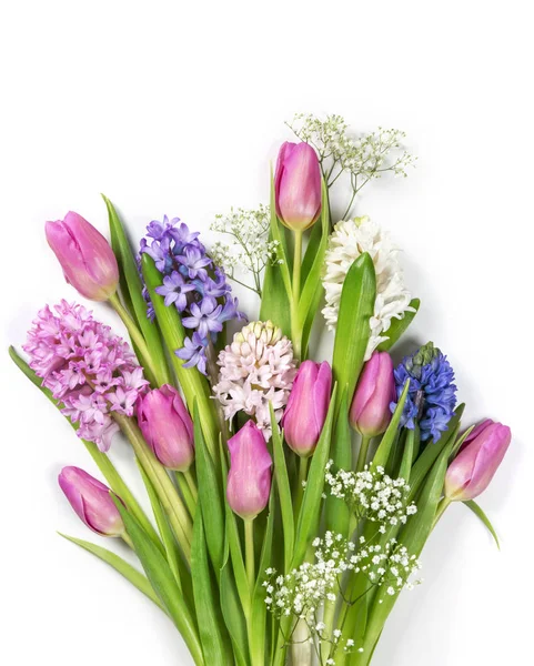 Pastel colored flowers — Stock Photo, Image