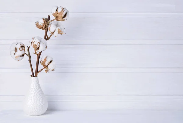 Vaso mit flores de algodão — Fotografia de Stock