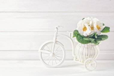 Beyaz bahar çiçekleri