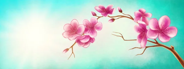 Blossom branch — Stock Photo, Image