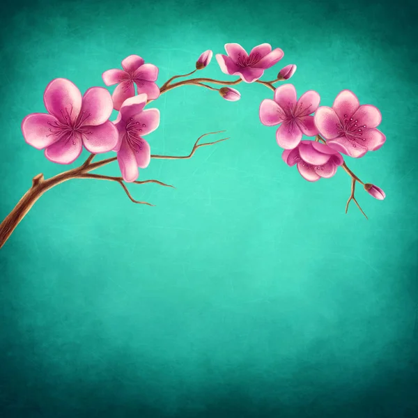 Blossom branch — Stock Photo, Image