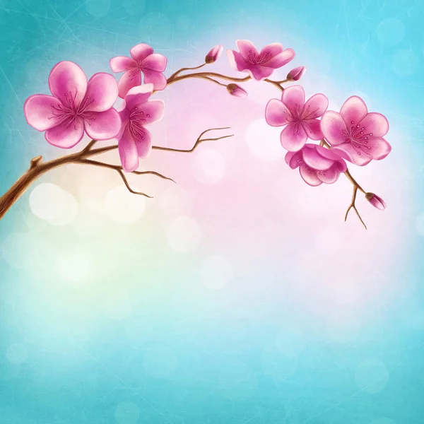 Blossom branch — Stock Photo, Image