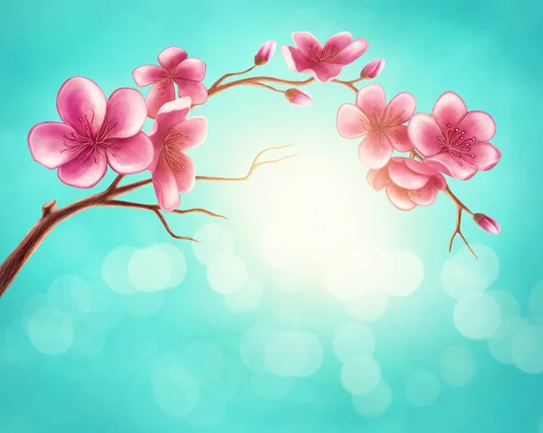 Blossom branch — Stock Photo, Image