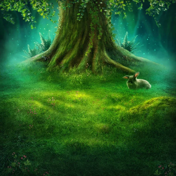 Big tree in the magic forest — Stock Photo, Image