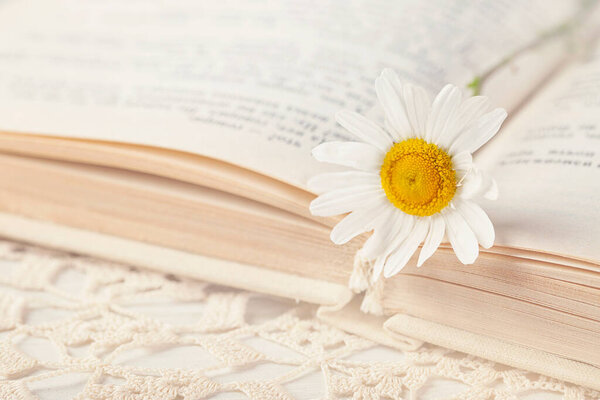 Old book and flower on the table
