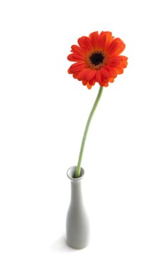Flower with love