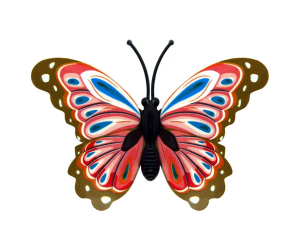 Kaunis perhonen — kuvapankkivalokuva